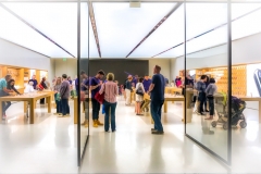The Icloud Dream