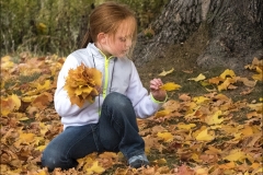 Choosing the Perfect Leaf