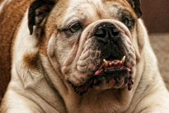 Wrinkles
