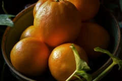 Winter Citrus
