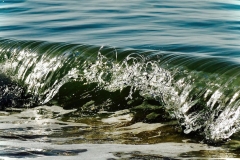The Wave