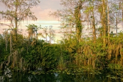 Down In The Bayou