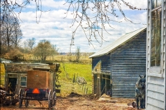 Amish Farm