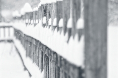 Snow Fence