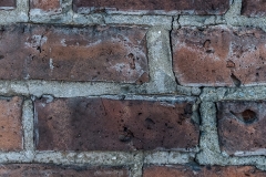If An Old Wall Could Talk