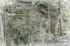 Bygone