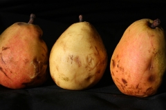 Golden Delicious