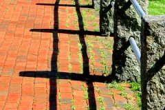Crooked Fence Lines
