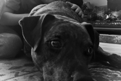 My Friend Jackson