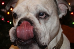 Go Ahead Take My Picture