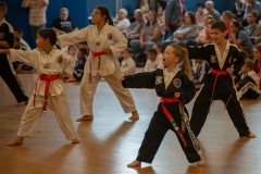 Evie039s Green Belt Test
