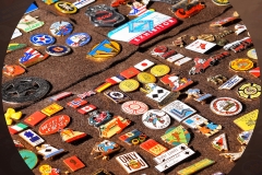 Pins