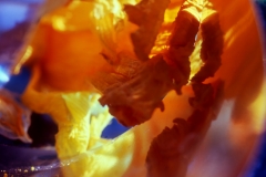 Rising Flower