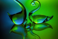 The Glass Swans