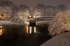 Washington Park Winter Storm