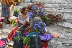 Flowers For Sale