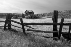 Neglected