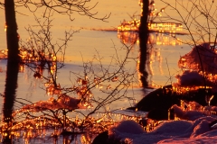 Lake Ice