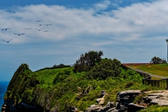 Watson Bay Lighthouse