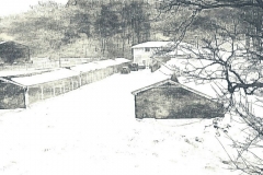 Park Lane in Snow