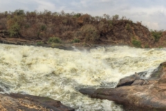 Rushing Waters