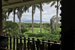 View from the Back Porch
