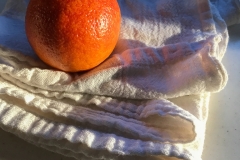 Morning Light